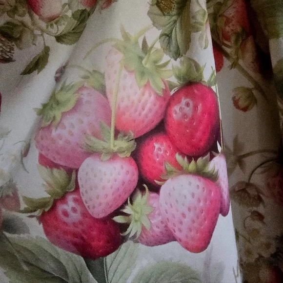 Selkie Strawberry Farmers Market Dress - XL - Picture 9 of 9